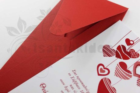 No02K-4230-LEPTOMEREIA[1]