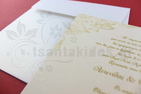 No04K-4209-LEPTOMEREIA[1]