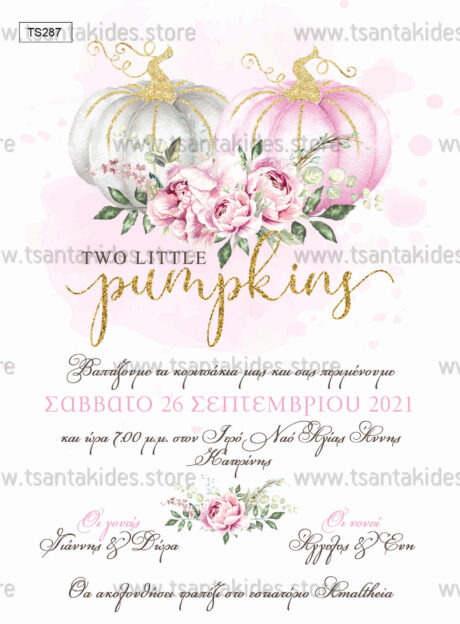 TS287-prosklitirio-vaptisis-twins-girls-sweet-pumpkins