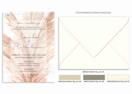 TS297-Νο91K-01-prosklitiria-gamou-pampas