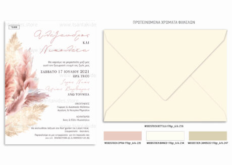 TS306-Νο91K-01-prosklitiria-gamou-dried-pampas-pastel