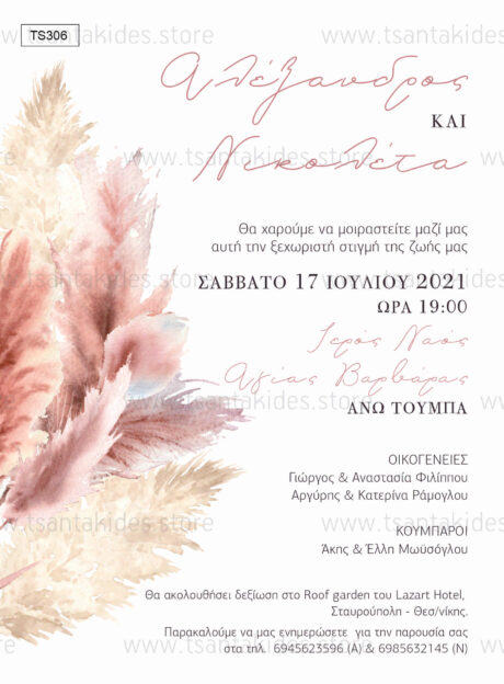 TS306-Νο91K-prosklitiria-gamou-dried-pampas-pastel